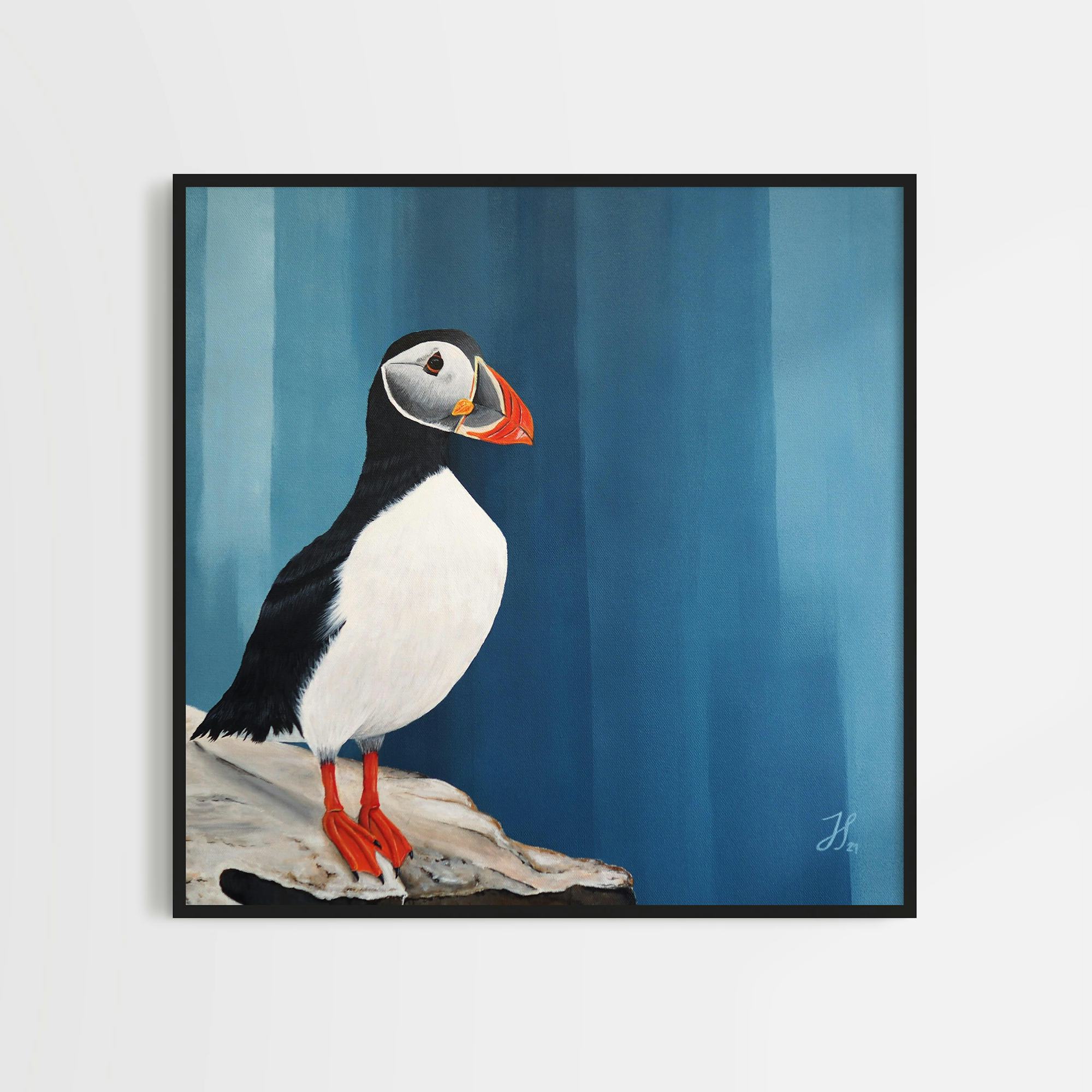 Framed, original painting of a puffin from the Shetland Islands painting with acrylics on canvas.