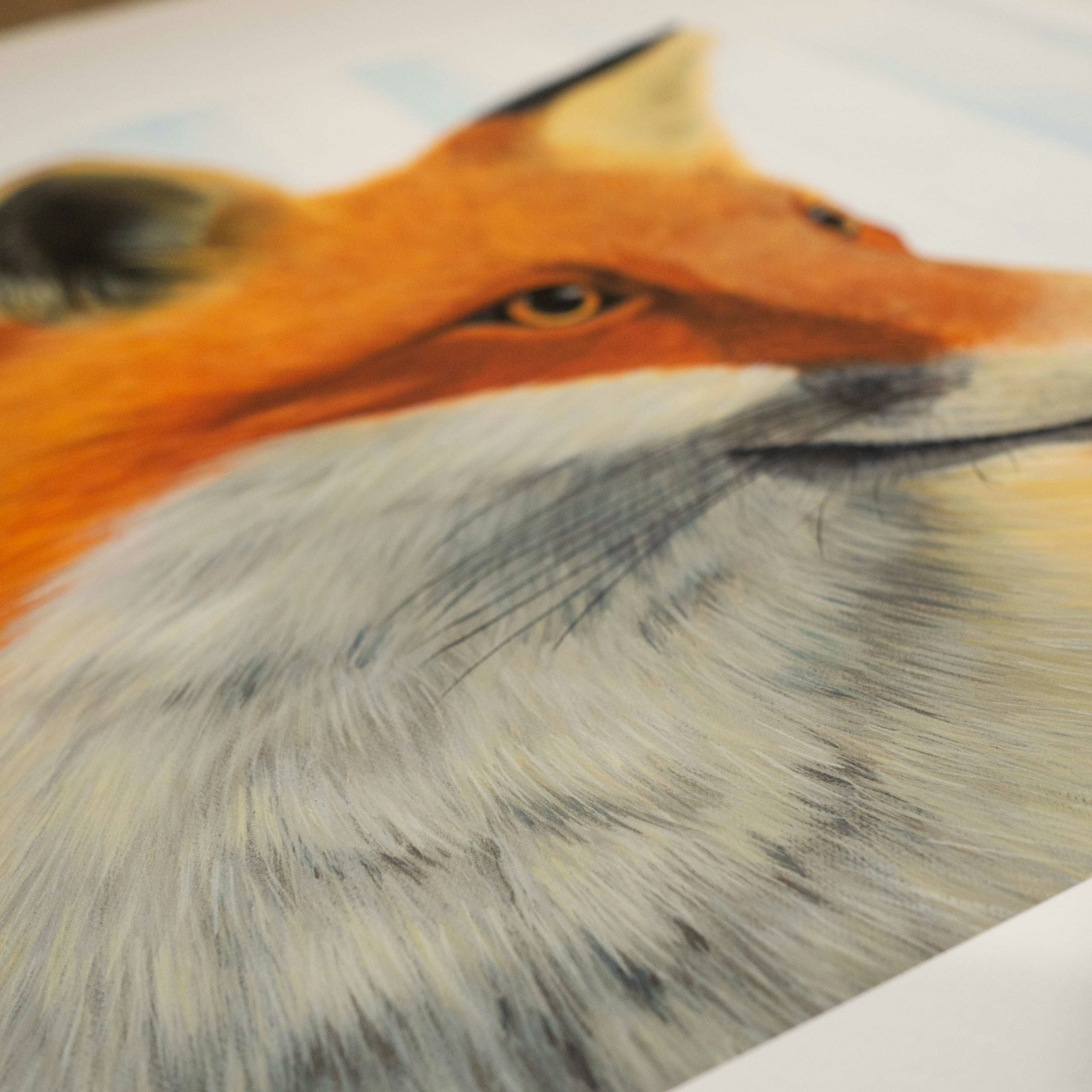 Mr Fox (Print)