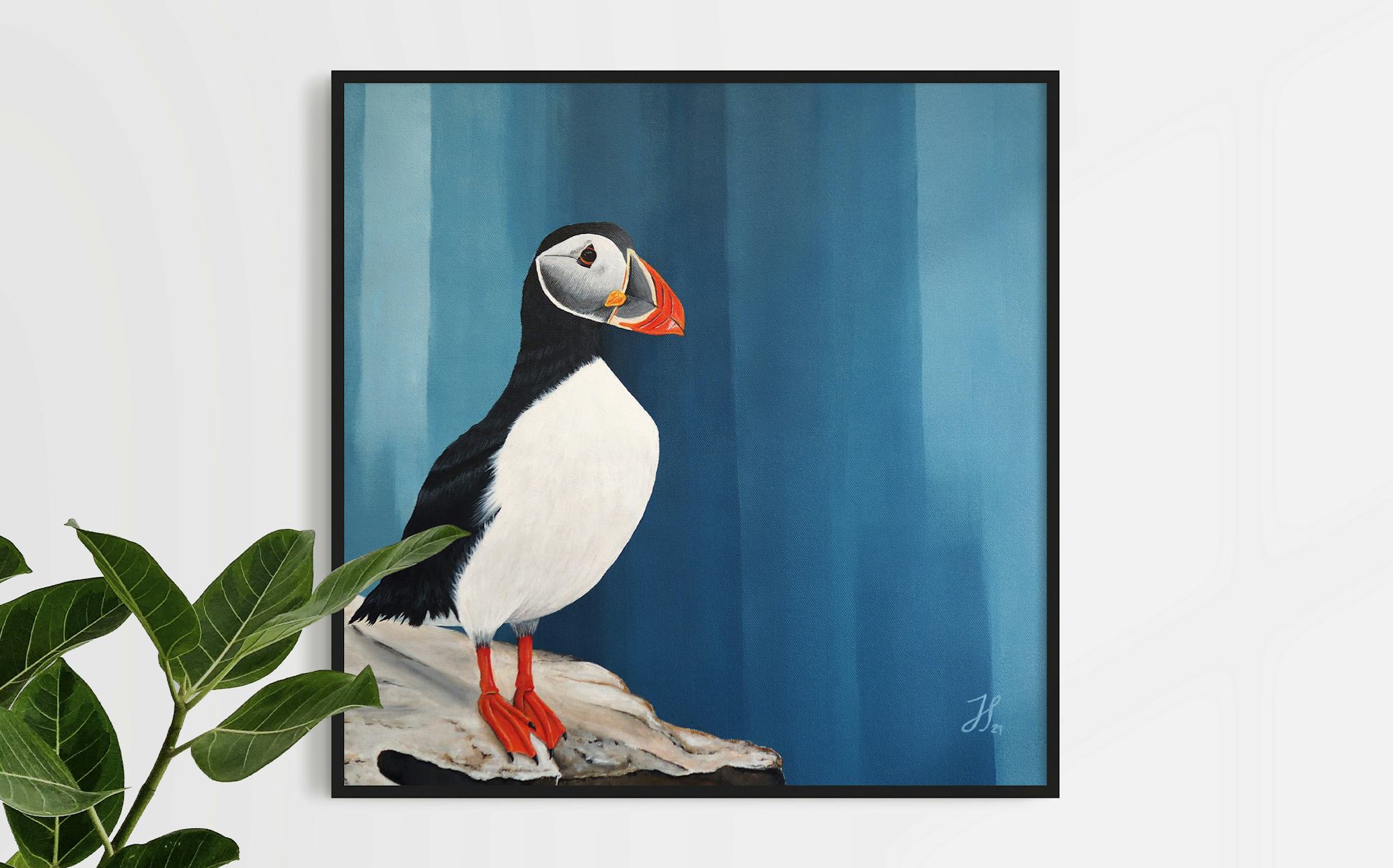 Framed, original painting of a puffin from the Shetland Islands painting with acrylics on canvas.