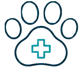 Pet Care Service Icon