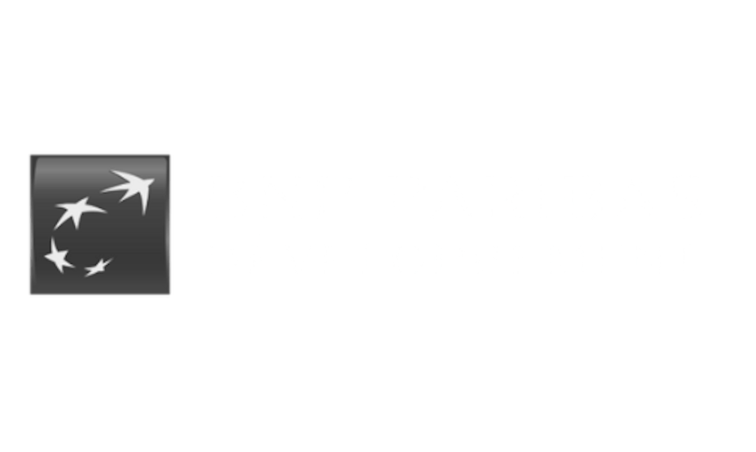 BNP Paribas dev logo