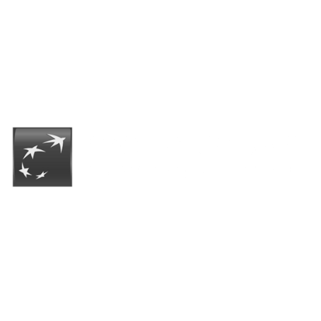 BNP Paribas dev logo