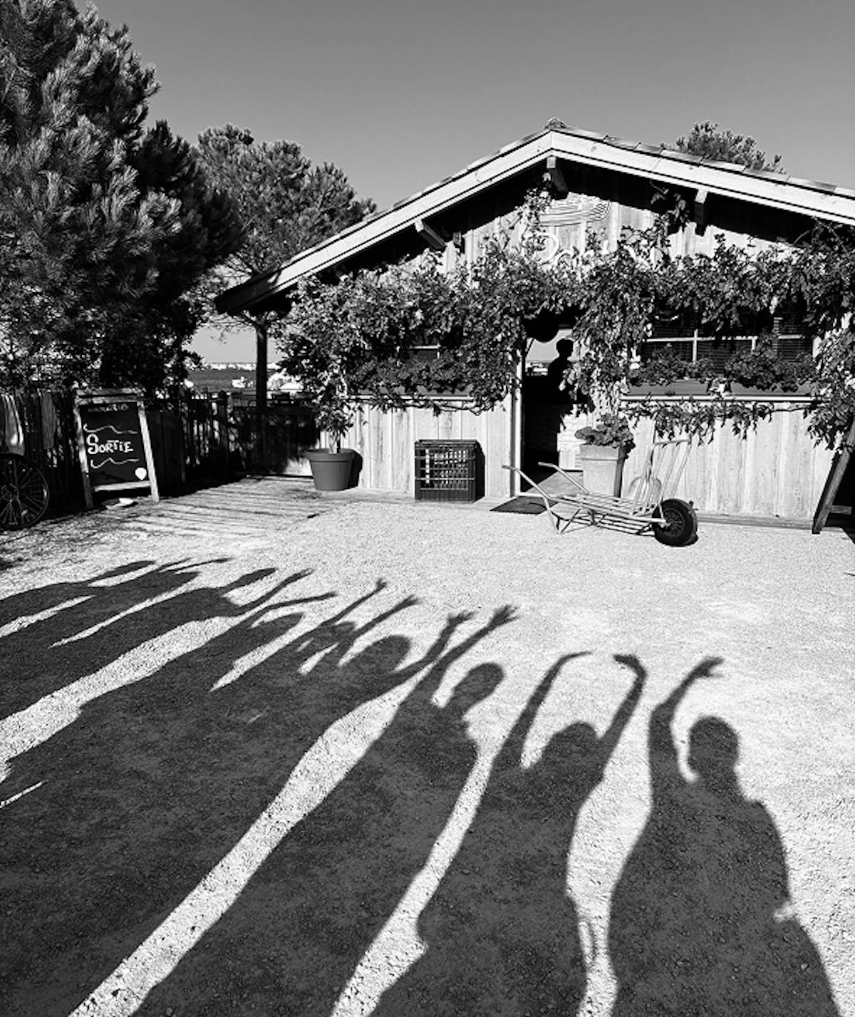 Image carrousel mobile 1