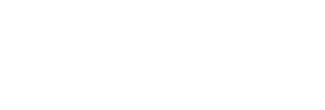 German Space Agency at DLR