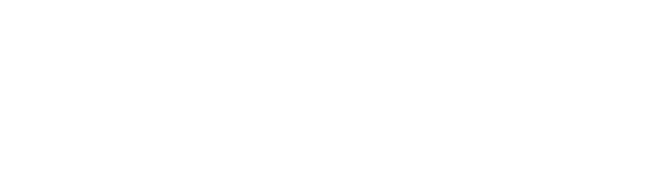 DLR GfR