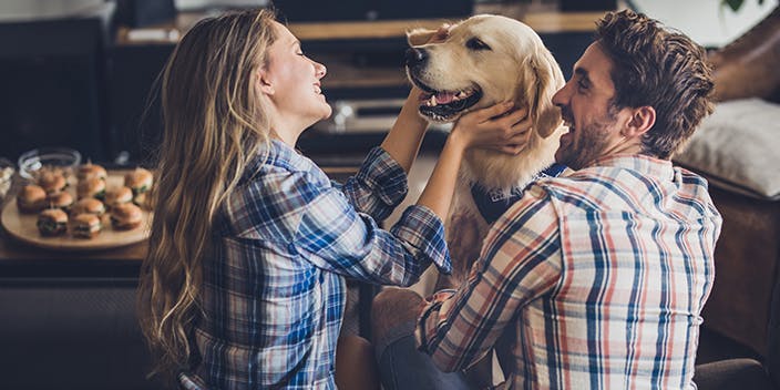 Hund, Katze, Maus – Die besten Tierbedarfs-Gutscheine Entdecken Sie jetzt die besten Deals für Ihren Tierbedarf.