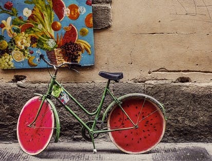 Gallerie Bild