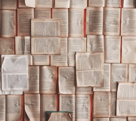 Medimops-Literatur Belletristik bei Medimops kaufen