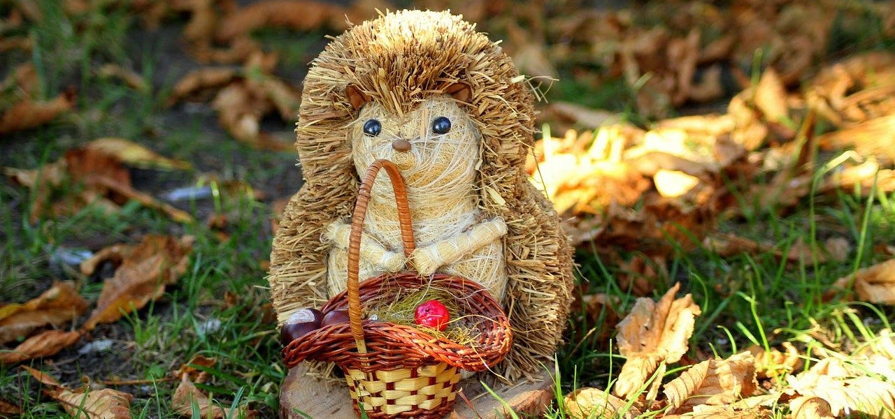 Dekotrends für den Herbst – Gutscheine für Bastel- und Deko-Shops Gebastelter Igel mit Korb in herbstlichem Ambiente