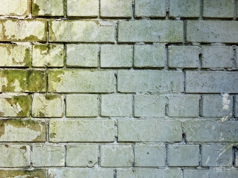 Schimmelbefall Mauerwerk