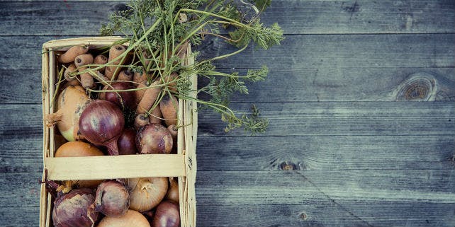 Gemüse für Winter Wintergemüse Karotten Zwiebel
