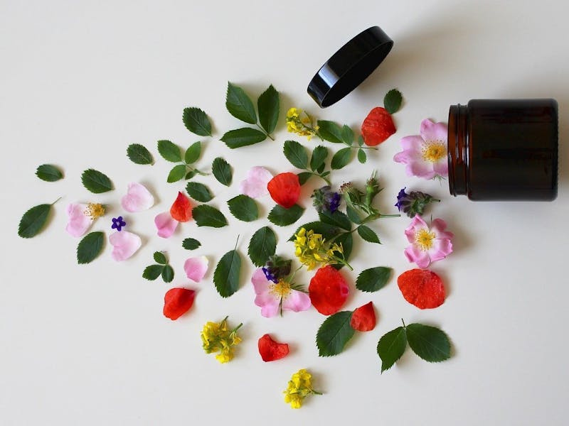 Bunte Blüten