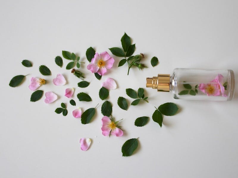 Rosa Blume in der Flasche