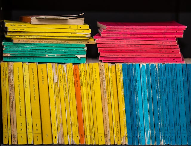 Studibuch GDE Rote, grüne, blaue und gelbe Reclam-Hefte im Regal