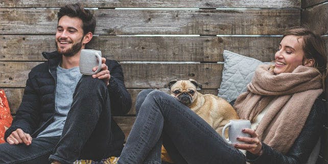 Bürohund Hund im Büro