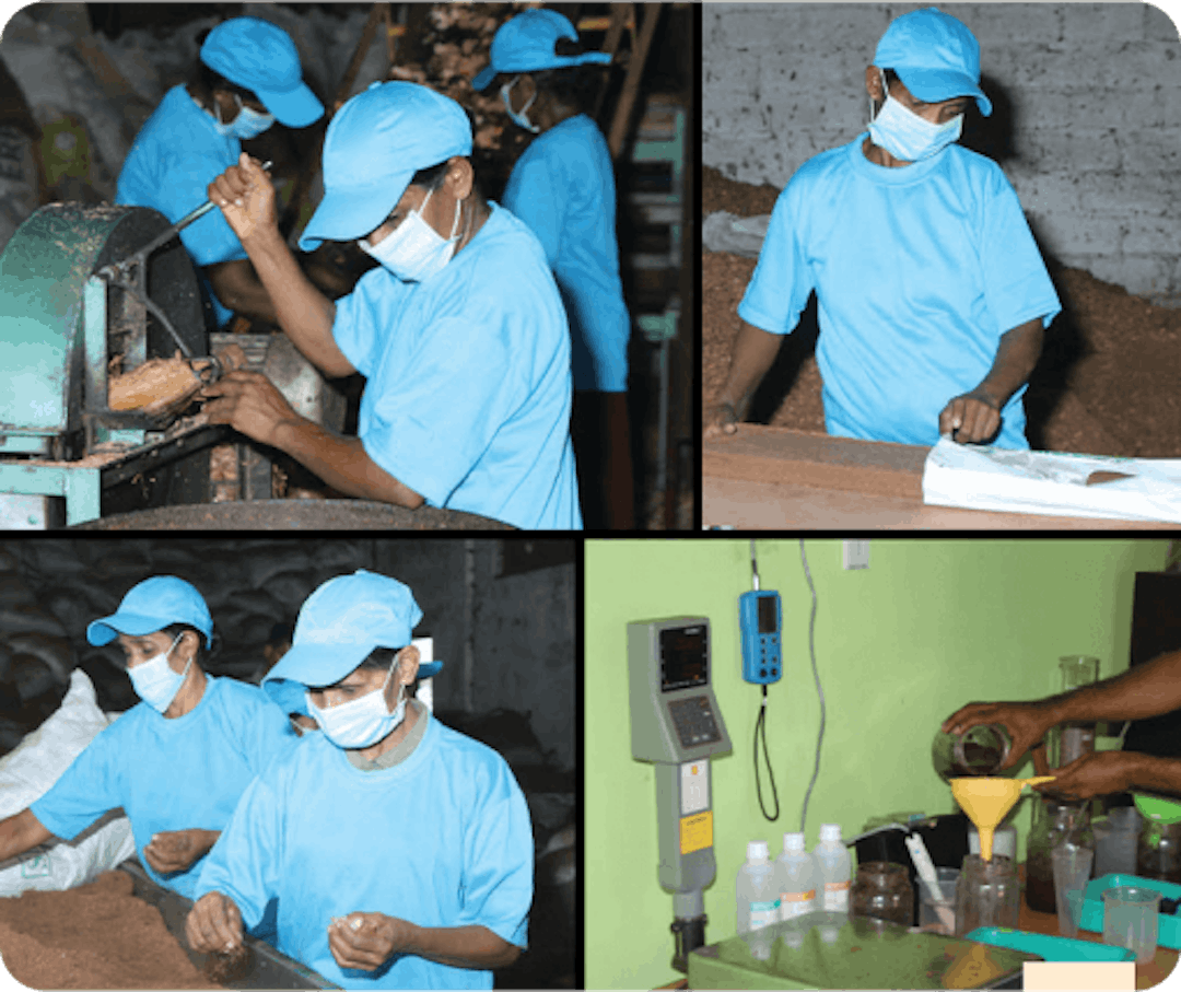Image of workers