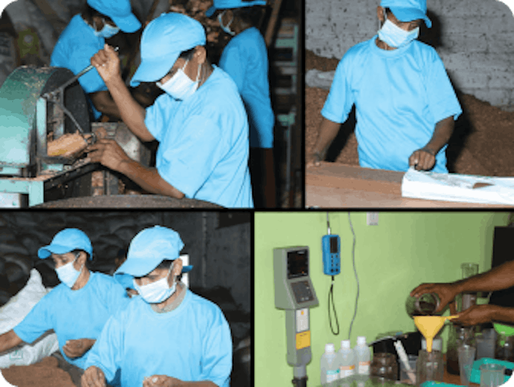 Image of workers