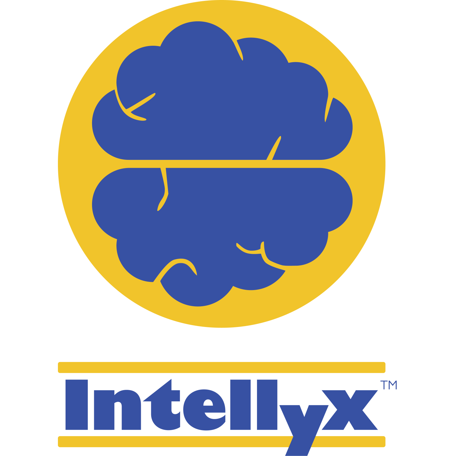 intellyx logo
