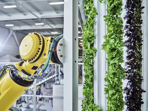 Plenty's Indoor Vertical Farm / San Francisco / California / 2019