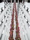 Grow Room / Plenty Indoor Vertical Farm / Compton / California / 2022