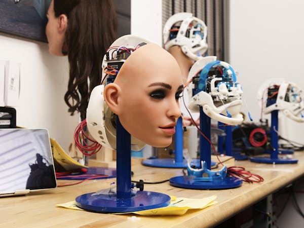 AI Sex Robot Heads / San Marcos / CA / 2019
