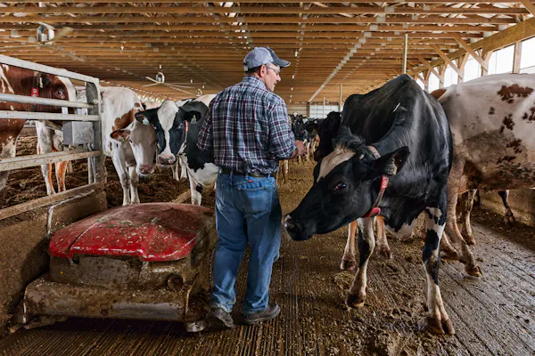 Glenn Brake with Dairy Cows and Robotic Manure Collector / Oakleigh Farm / Mercersburg / Pennsylvania / 2026