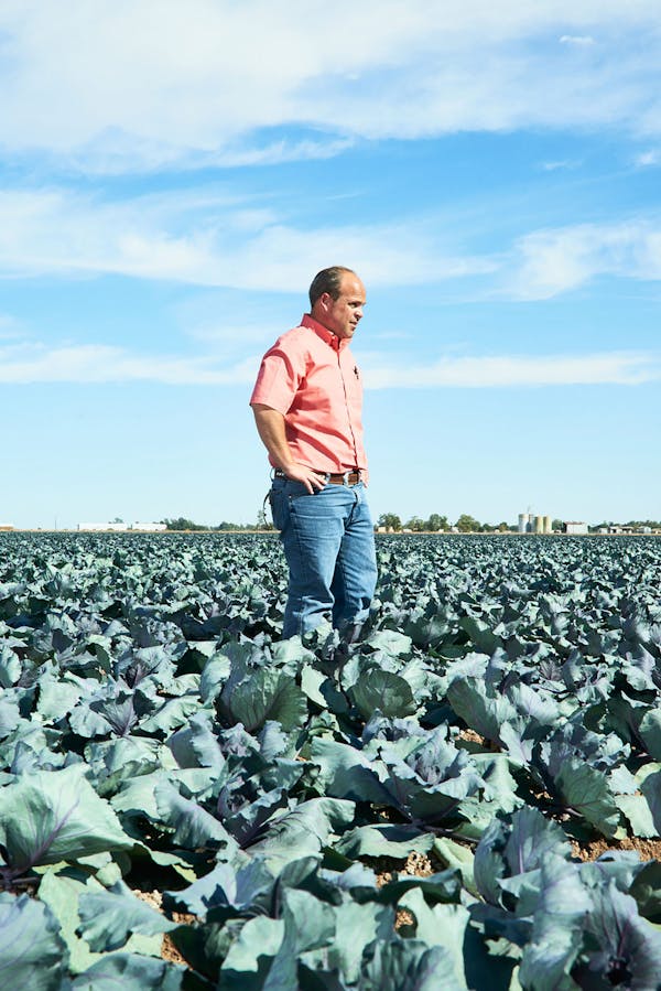 Jack Vessey / Farmer / Imperial Valley / California / 2015