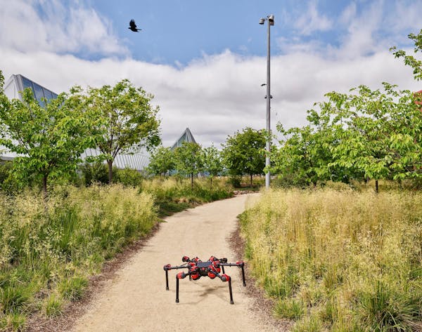 Daisy / Hexapod Robot Learning To Walk / Facebook Headquarters / Menlo Park / California, 2019