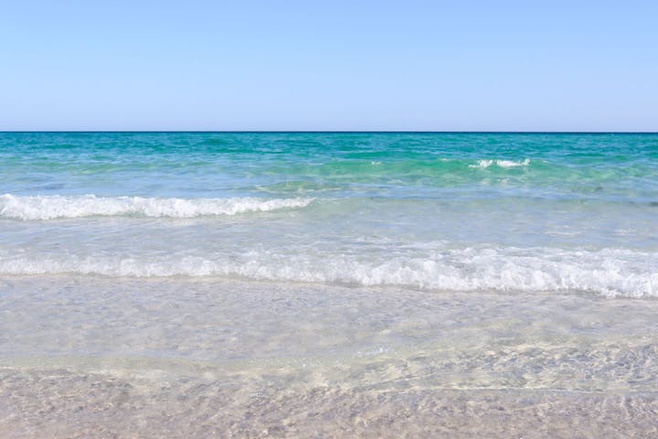 Gulf Coast Shoreline