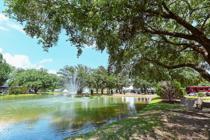 Scenic Shaded Spot Under Tree at Splash RV Resort