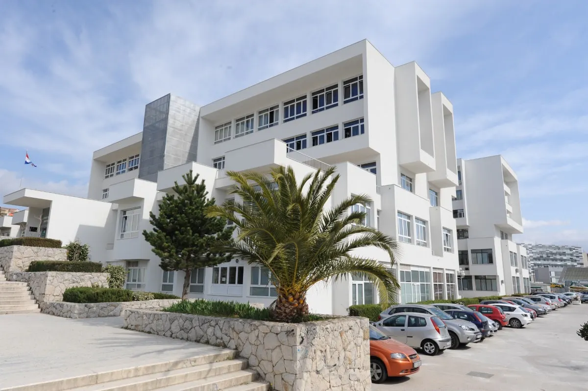 Homepage | Split Summer School