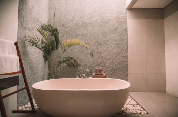 Spa interior  - an oval sink and a plant in the background