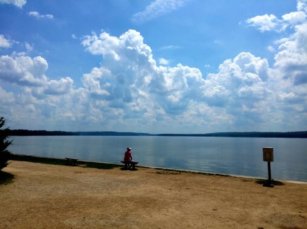 Man sitting on a bench on a lake shore.