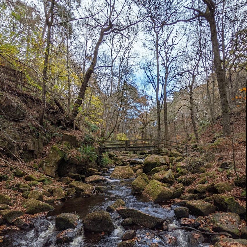 Article thumbnail for UK's Best Walks and Hikes Part 7: Padley Gorge