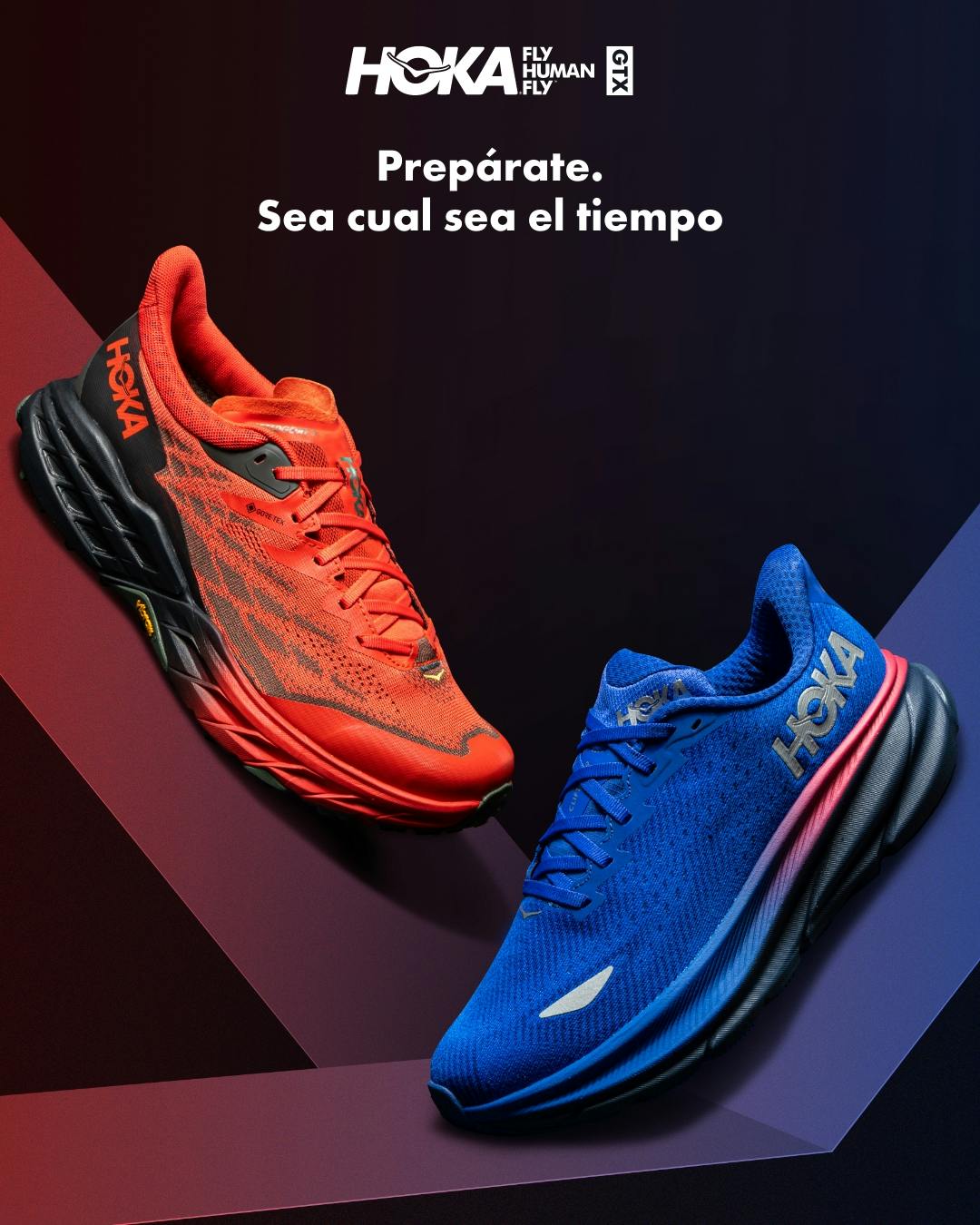 Hoka GTX