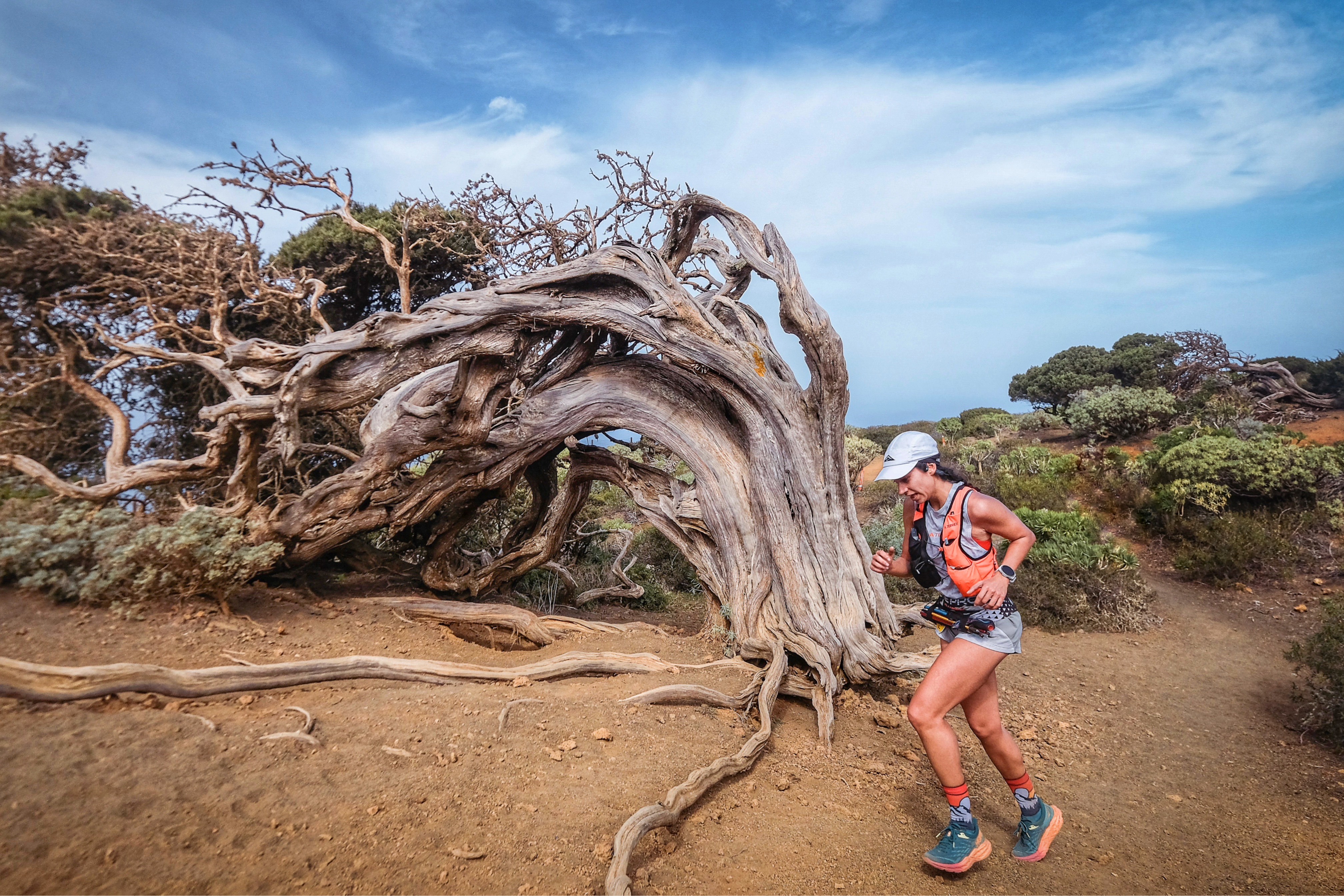 maratón-del-meridiano-con-silvia-del-barrio