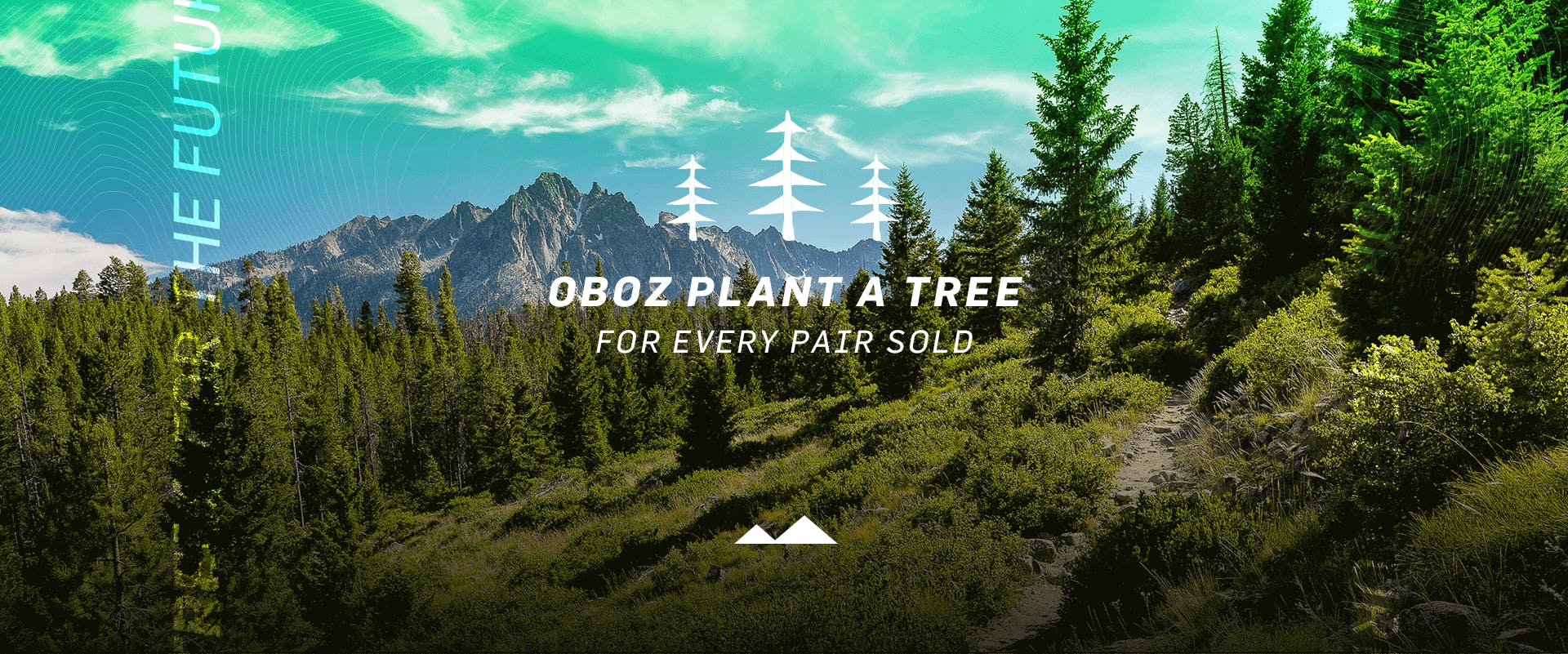 Oboz plant a tree