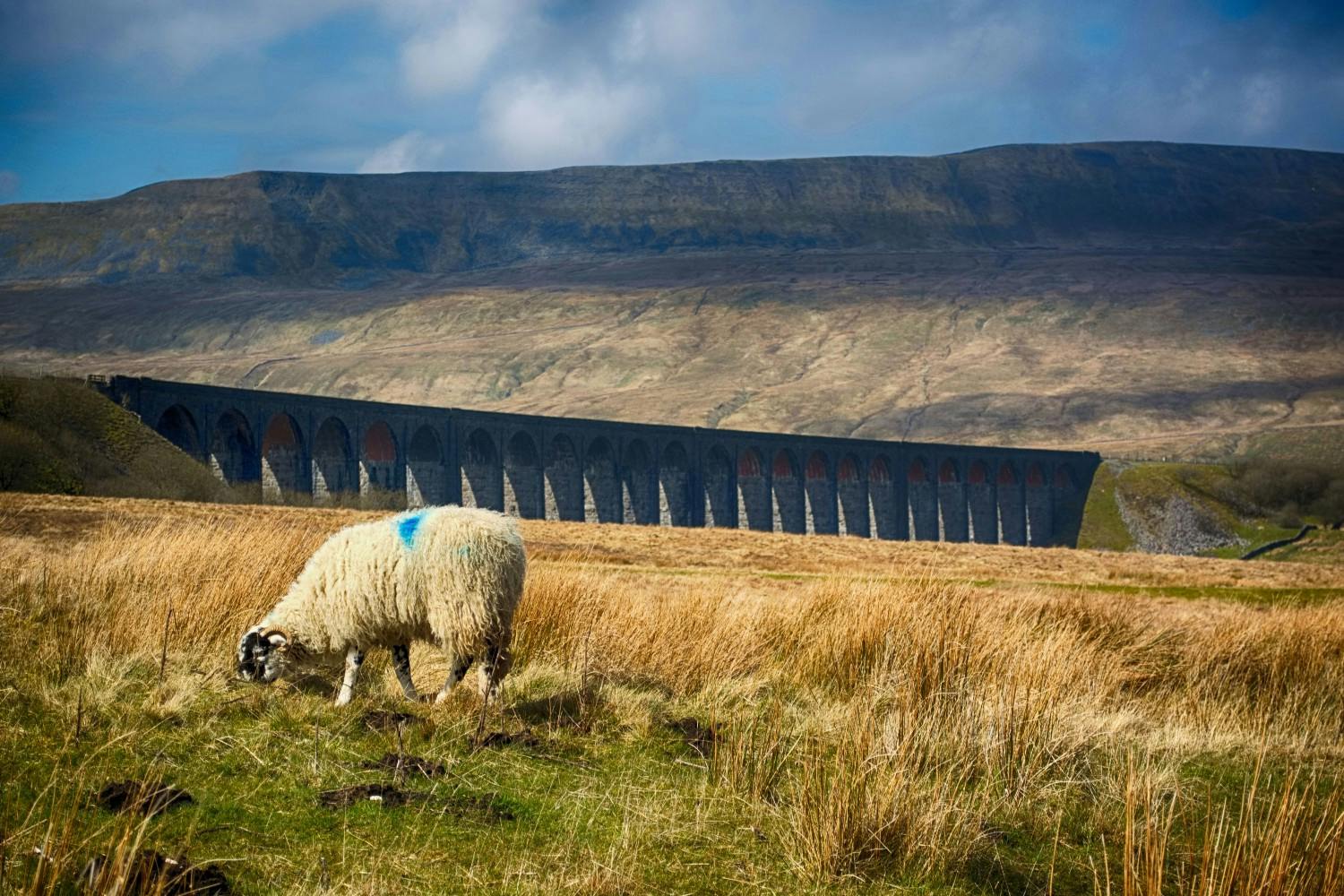 uk-best-walks-and-hikes-part-6-yorkshire-3-peaks