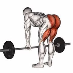 five-exercises-for-great-glutes