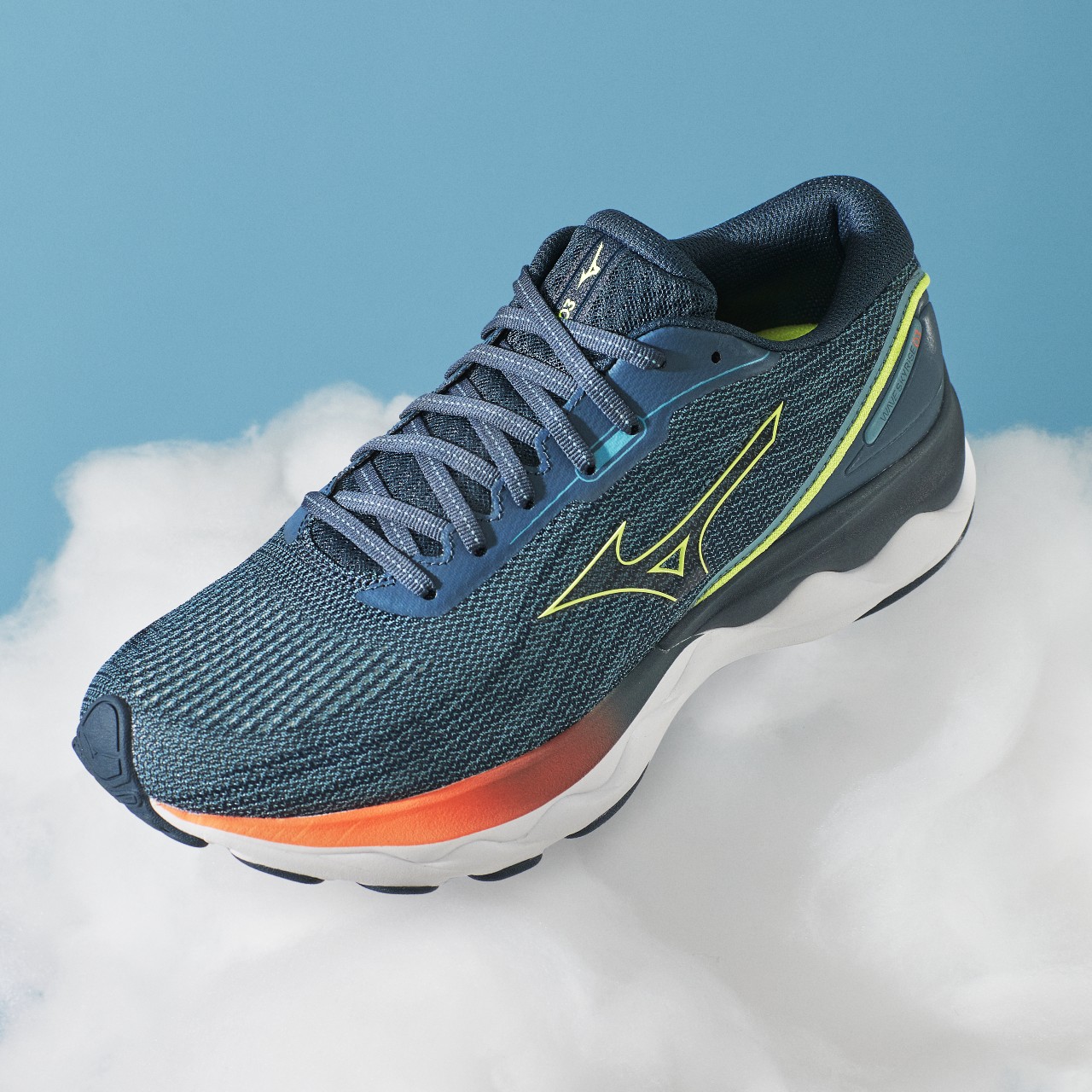 Mizuno wave rider 22 homme hot sale