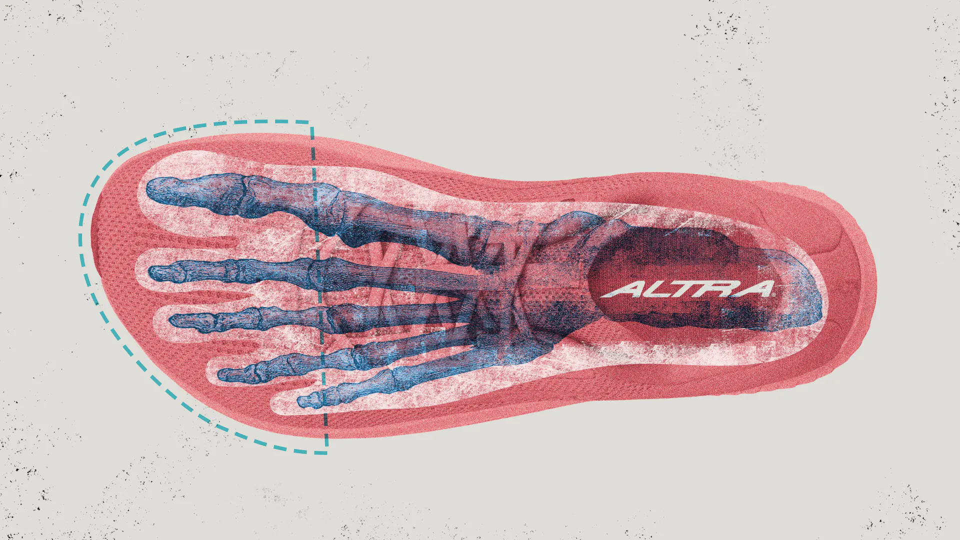 Altra footshape toe box graphic