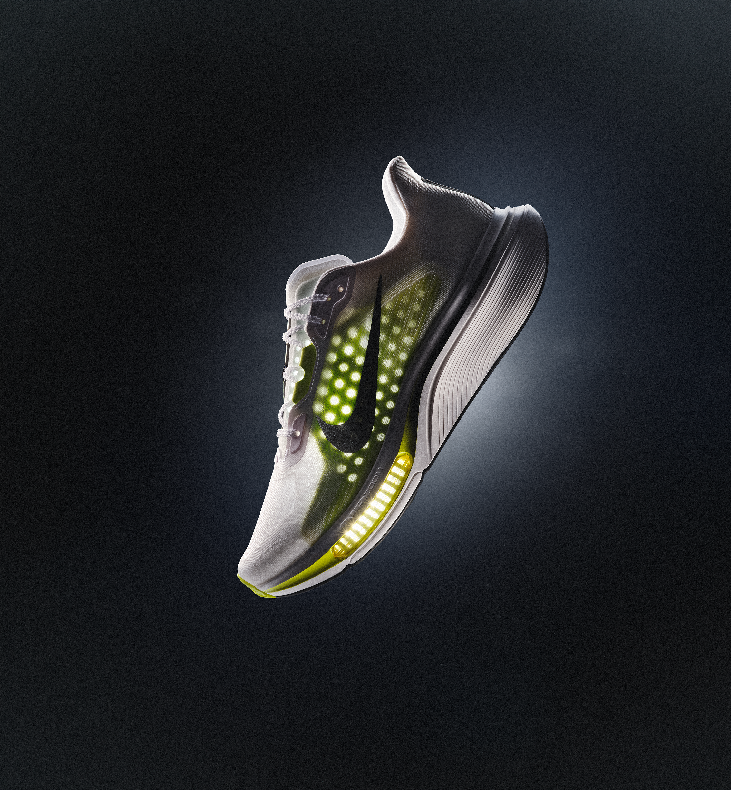 Nike Pegasus Plus 2
