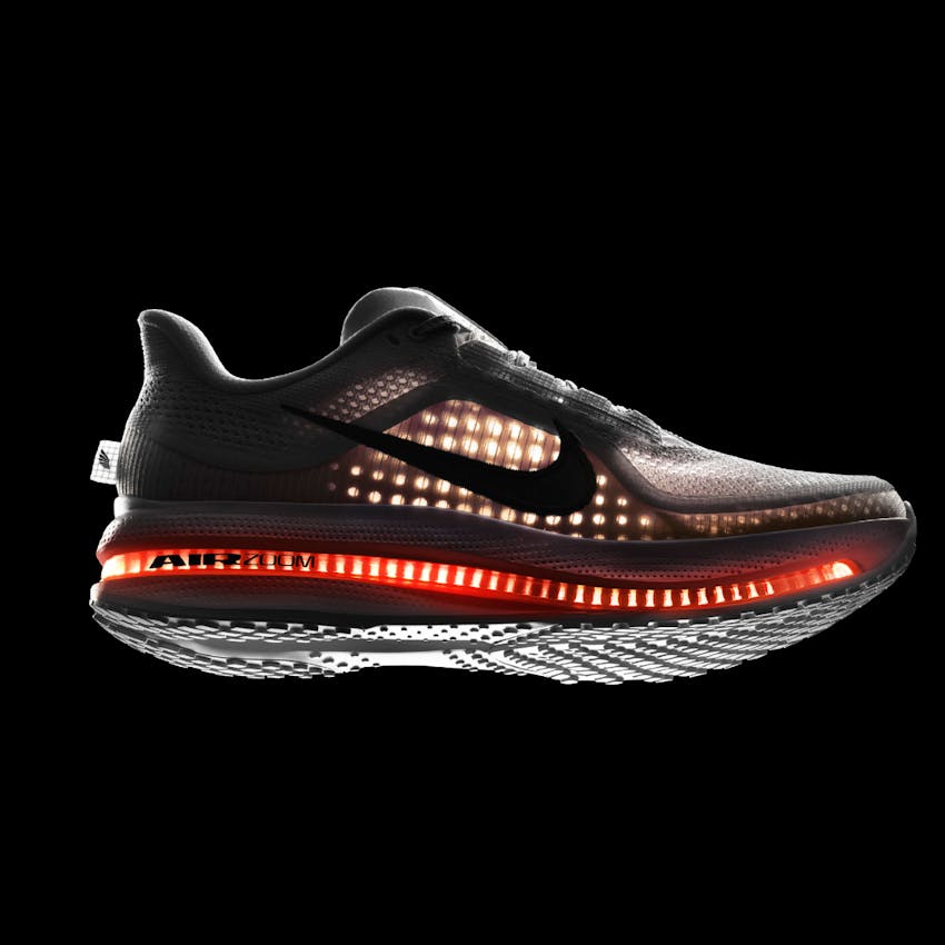 Article thumbnail for Aperçu : Nike Pegasus Premium