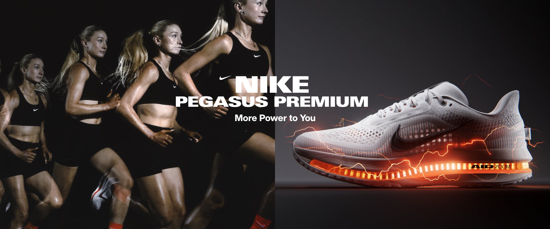 Nike Pegasus Premium