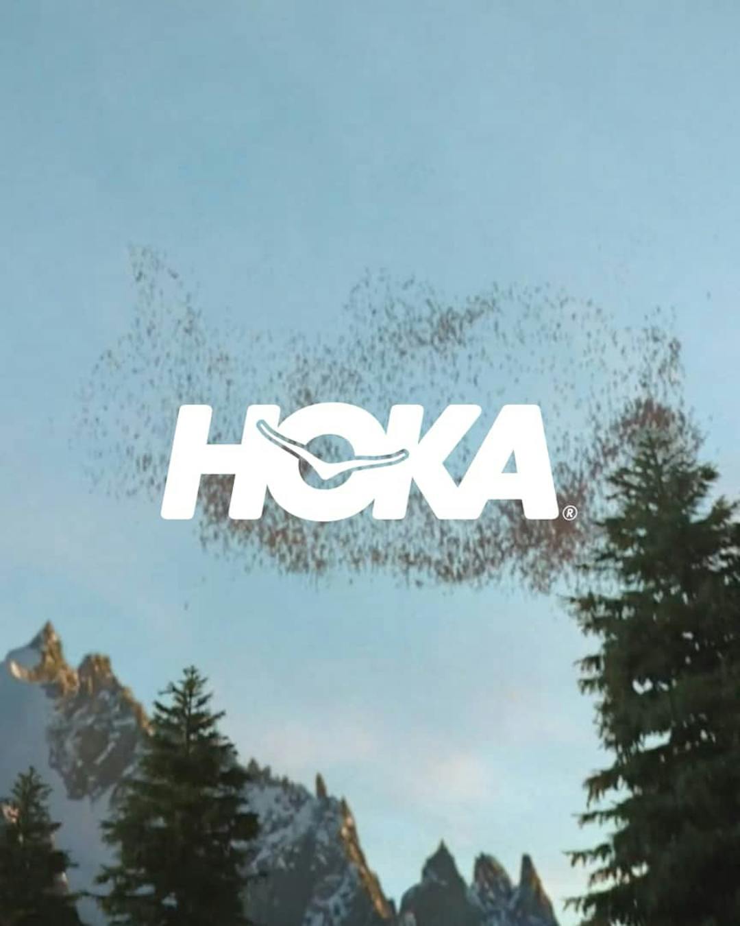 HOKA Fly