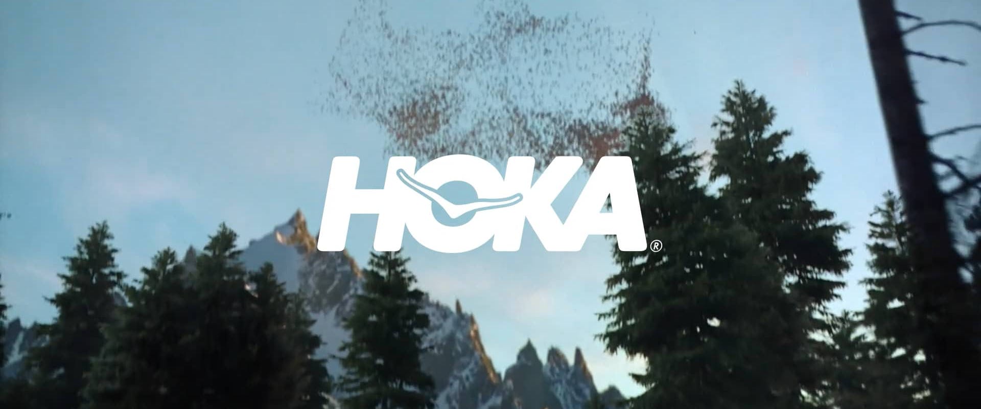 HOKA Fly
