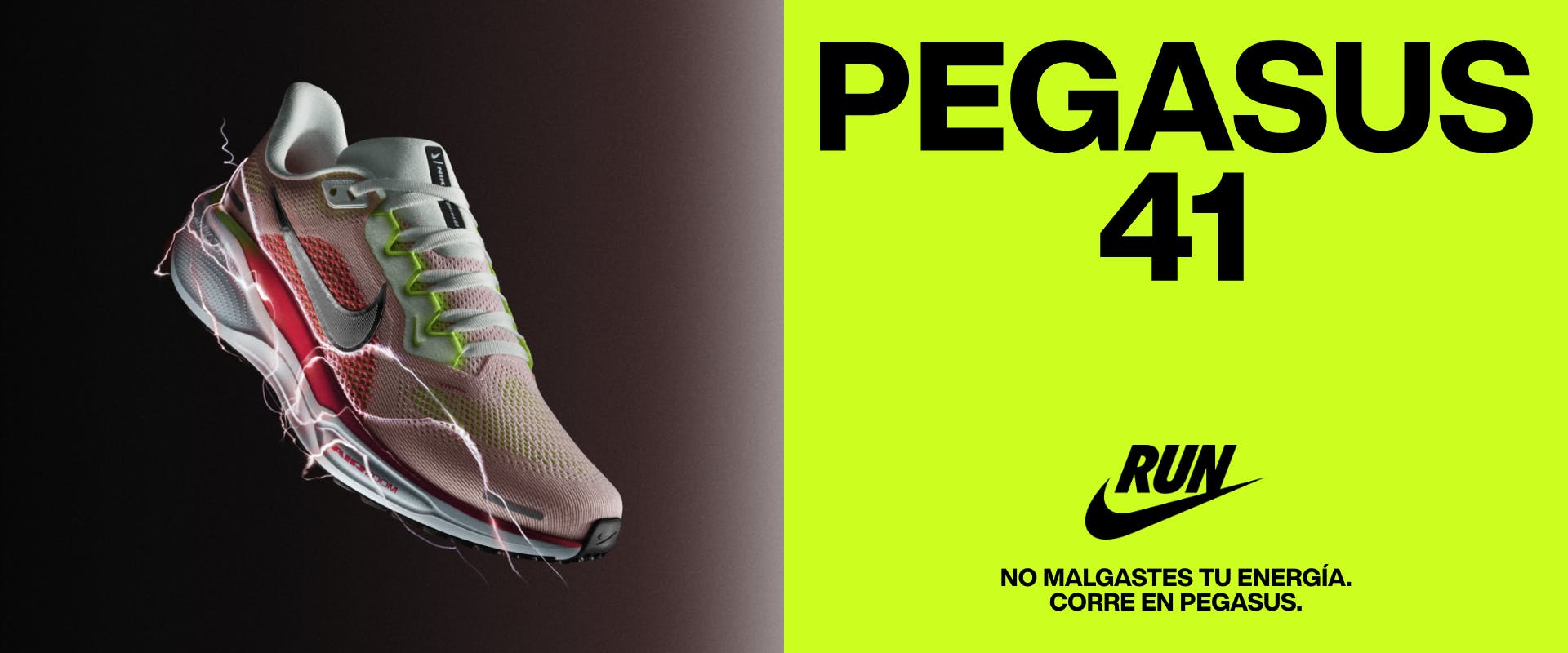 ES Nike Pegasus 41