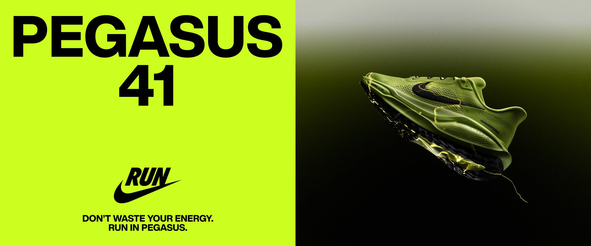 Nike Pegasus 41