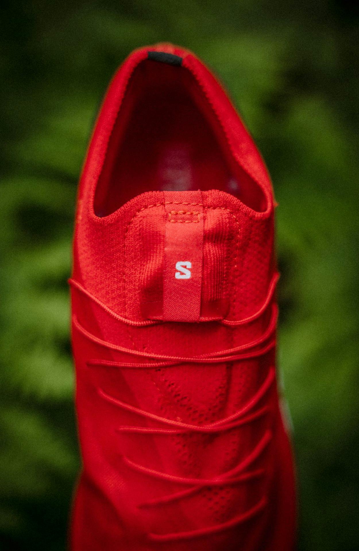 salomon-slab-pulsar3