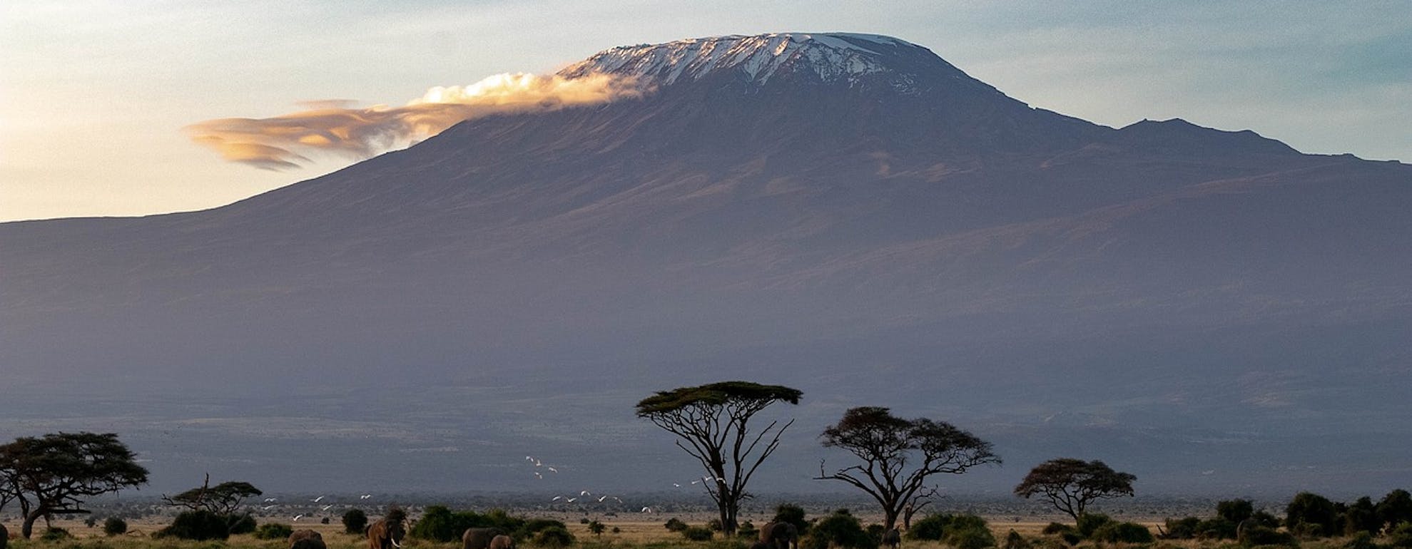 Trekking sul Kilimangiaro